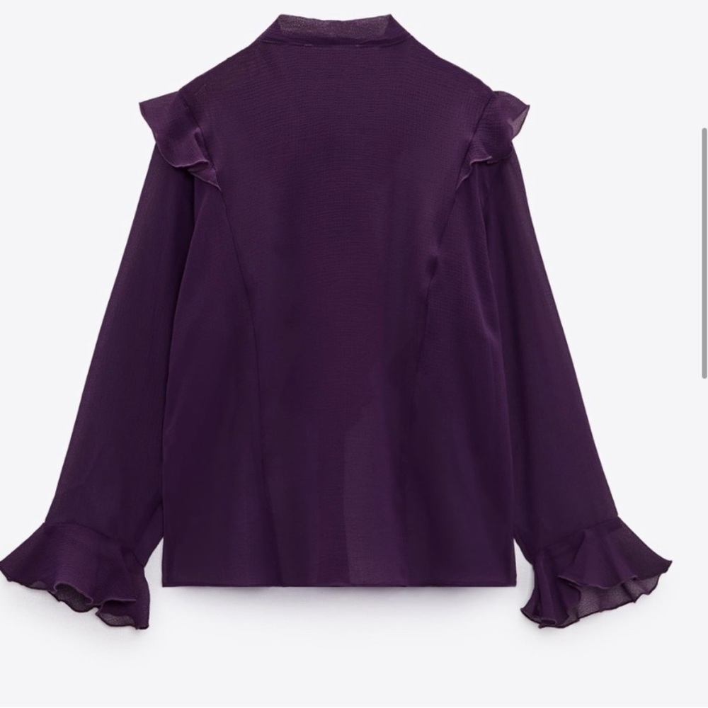 Zara Deep Purple Sheer Ruffle Blouse - Picture 8 of 11